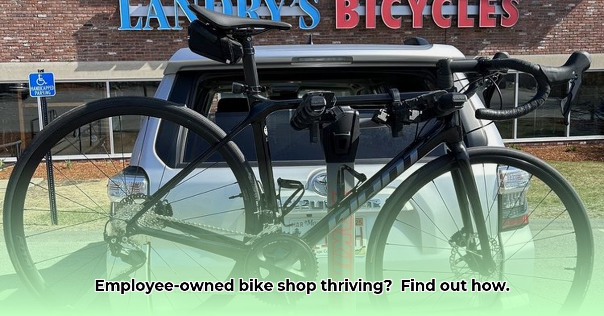 landry-s-bicycles-westborough-ma